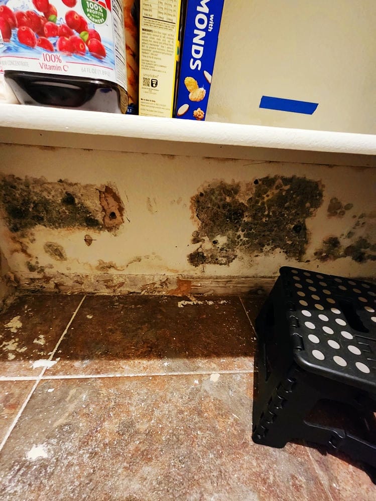 Mold growth on wall near floor in kitchen area, highlighting the need for thorough mold removal services.